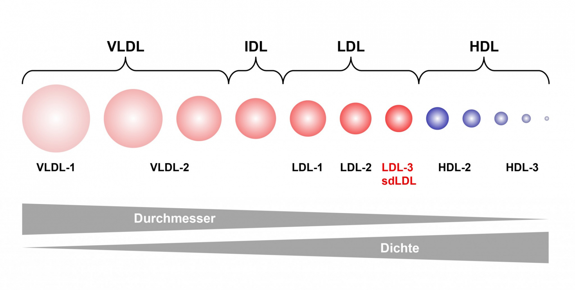 ca-thit-do-va-thit-trang-deu-lam-tang-muc-cholesterol-2.jpg (195 KB)