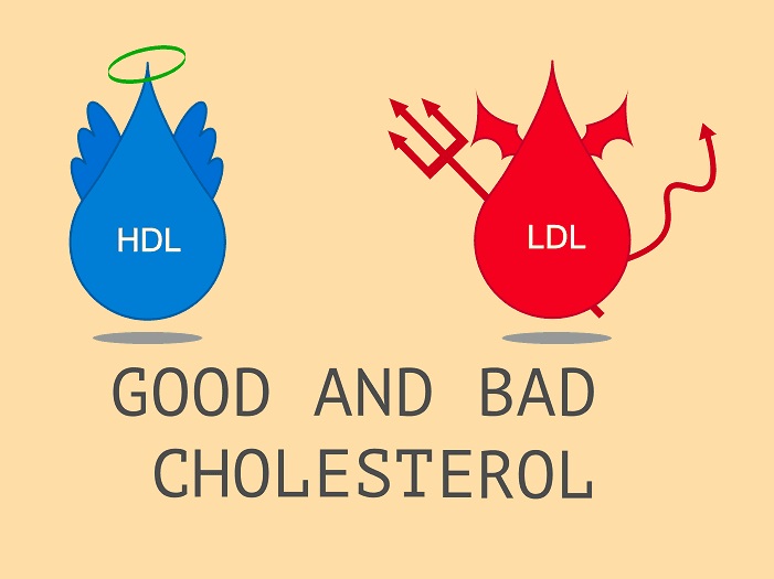 tim-hieu-ve-benh-cholesterol-cao-nhung-dieu-co-ban-can-biet-phan-2.jpg (56 KB)