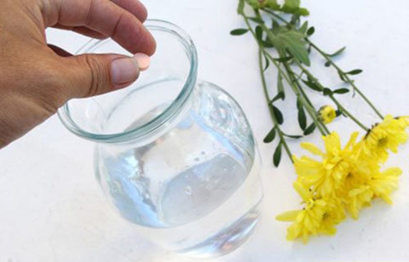 B1 giúp hoa hút nước và giữ nước trong thân lâu hơn, duy trì độ tươi